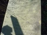 image of grave number 142476
